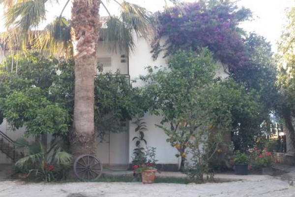 Alya Hotel Bodrum