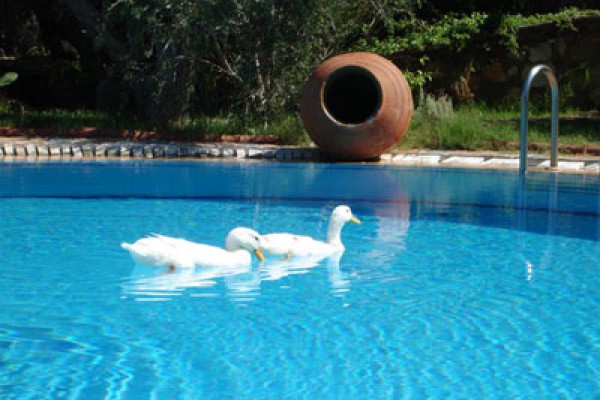 Antik Zeytin Bio Hotel