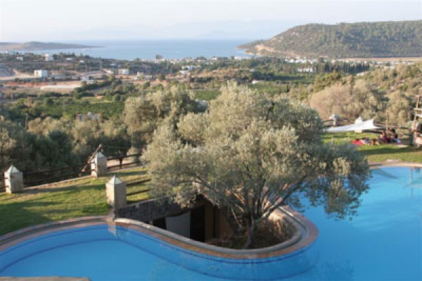 Antik Zeytin Bio Hotel