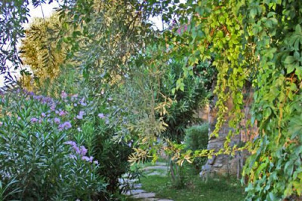 Antik Zeytin Bio Hotel