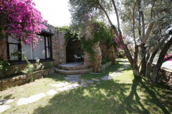 Antik Zeytin Bio Hotel