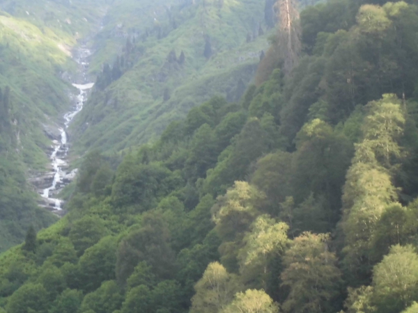 Ayder Paradise Otel&Apart