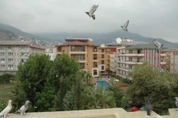 Azalea Apart Otel Alanya