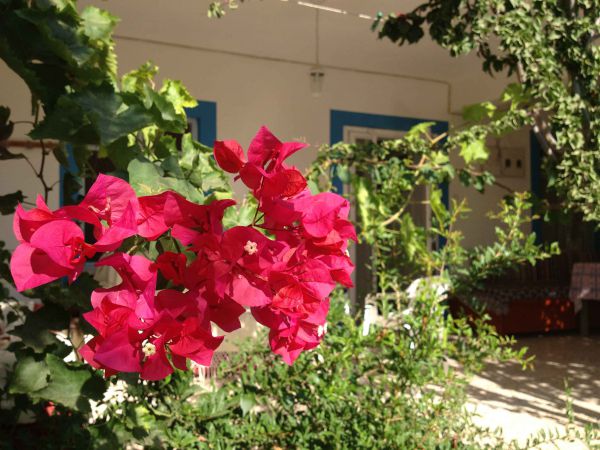 Bedya Pansiyon ve Sanat Evi