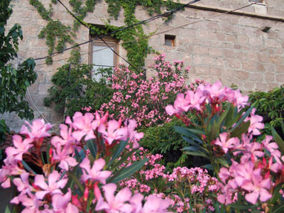 Berceste Otel