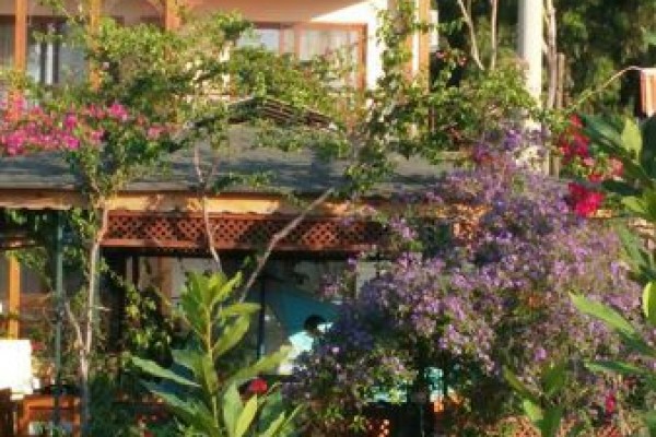 Blue Water Apart Otel