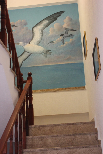 Bozcaada Albatros Otel