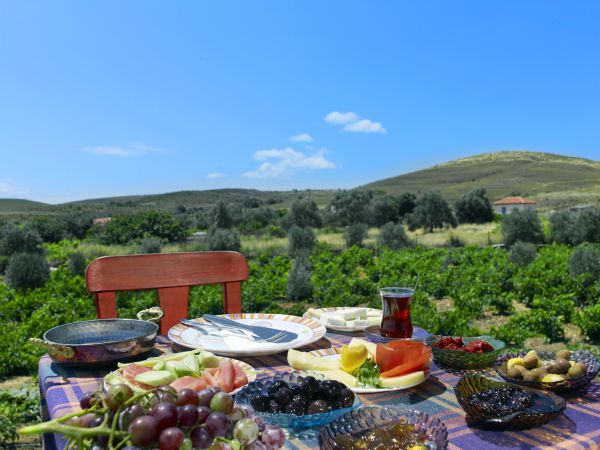 Bozcaada Karaf Bağevleri