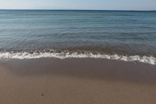 Cactus Club Yalı Hotels & Resort