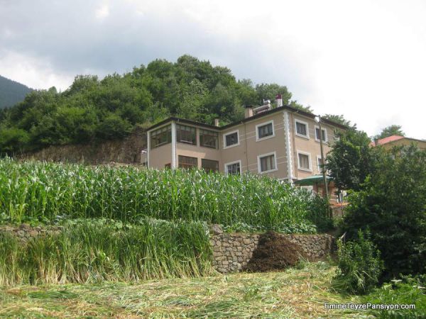 Çamlık Apart Otel