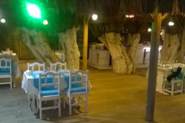 Çavuş'un Yeri Apart