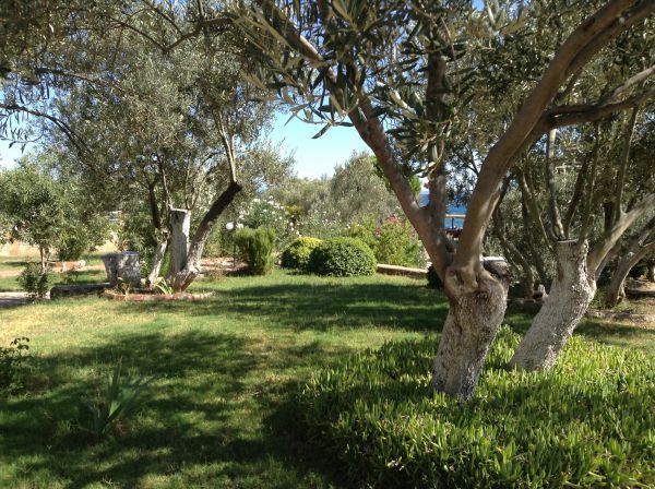 Ceylanoğlu Gladius Hotel