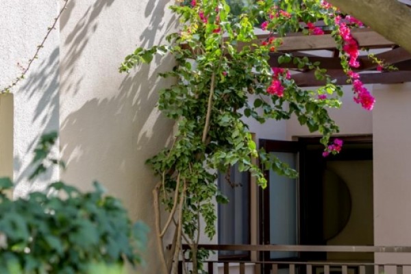 Club Dem Spa & Resort Hotel