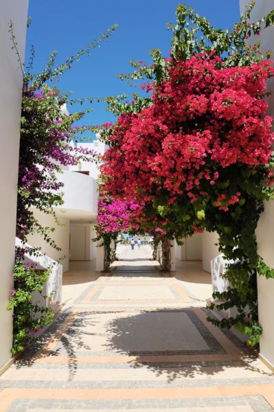 Club Hotel Zemda