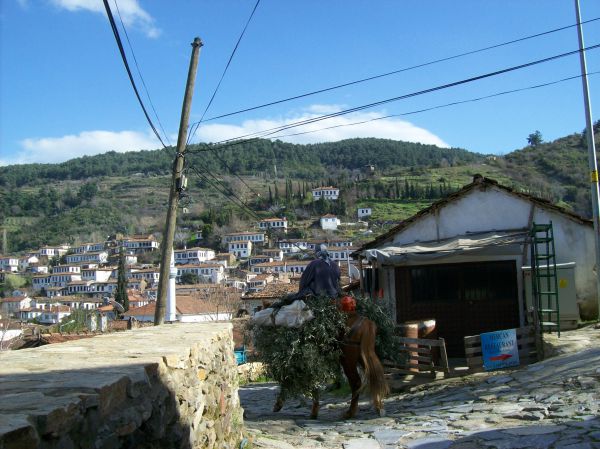 Dionysos Pension