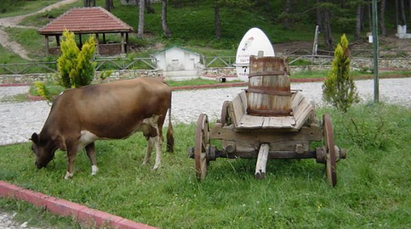 Doğal Yaşam Oteli