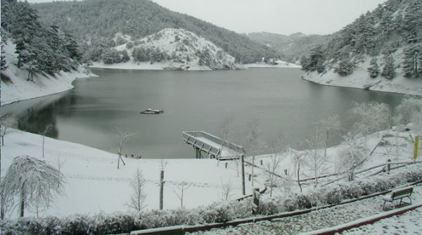 Doğal Yaşam Oteli