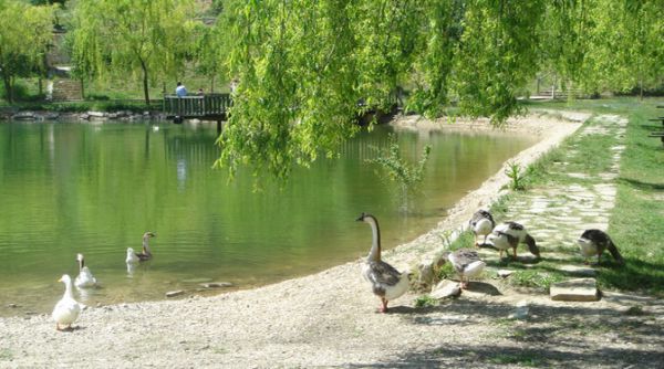 Doğal Yaşam Oteli