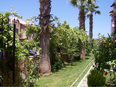 Doğuş Hotel & Apart