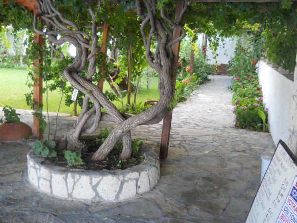 Ergin Pansiyon Restaurant