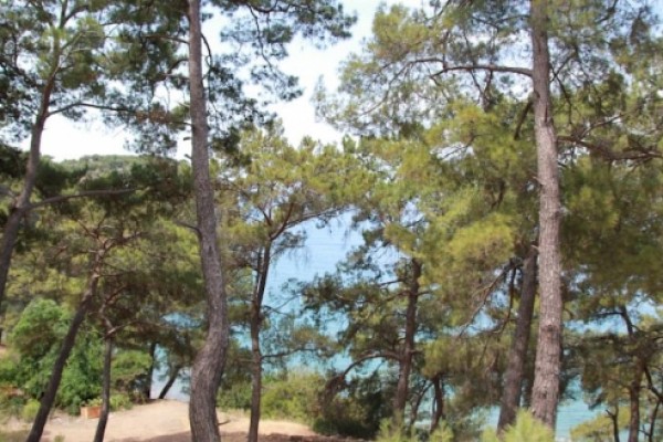 Eskibeyaz Olympos