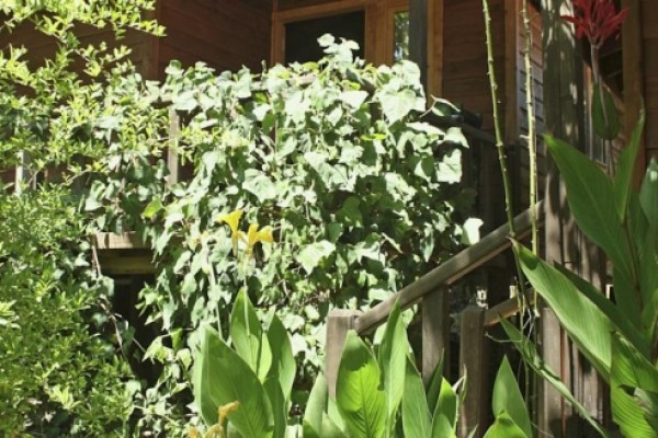 Eskibeyaz Olympos