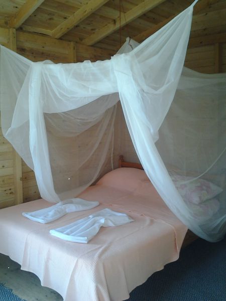 Full Moon Camp