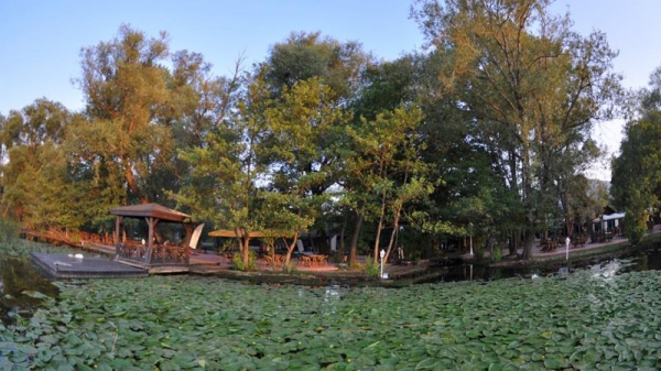 Green Blue Park