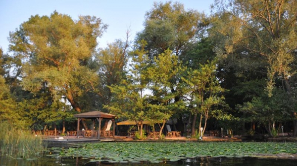 Green Blue Park