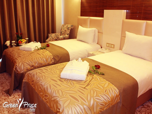 Green Prusa Hotel