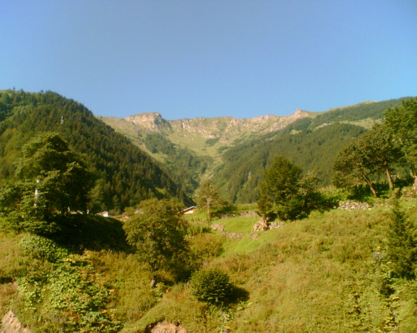 Gül Pansiyon Uzungöl