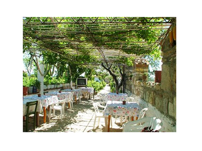 Güler Bağ Evi-Pansiyon