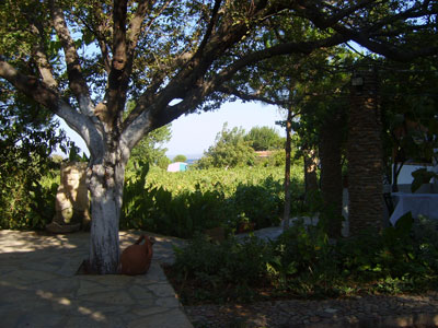 Güler Bağ Evi-Pansiyon