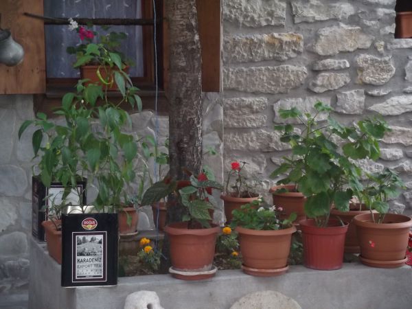 Güney Konak Otel