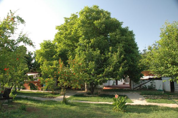 Han Pansiyon Restaurant