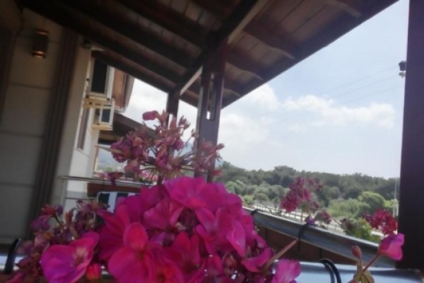 Hotel Yedi