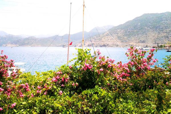 İki Butik Tatil Mekanı