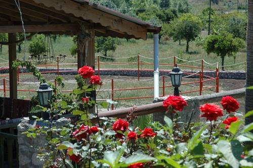 İsa M. Guesthouse