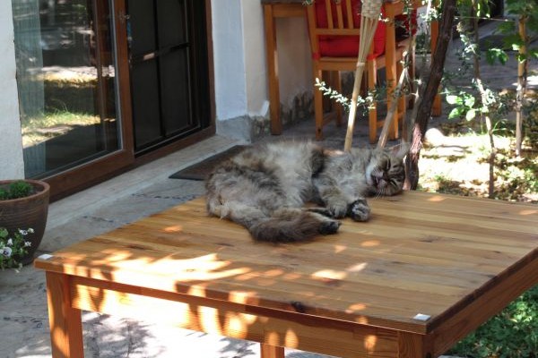 İyon Pansiyon