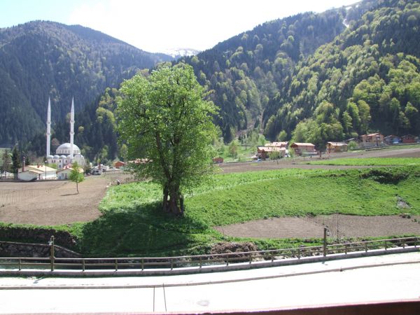 Kakuç Pansiyon