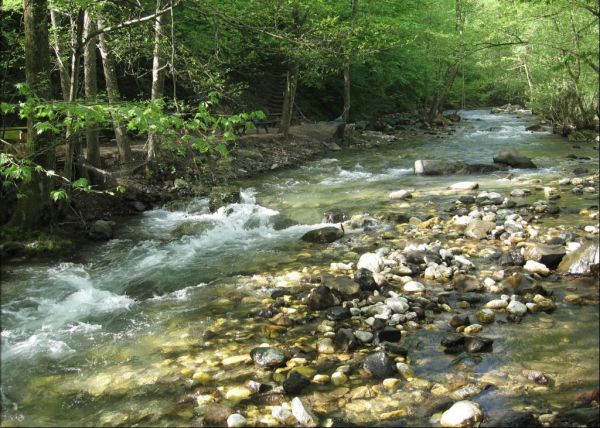 Karaaslan Alabalık Kamping Bungalow Tesisleri