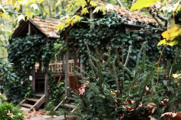 Karaaslan Alabalık Kamping Bungalow Tesisleri