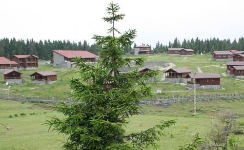 Kayabaşı Yayla Kent