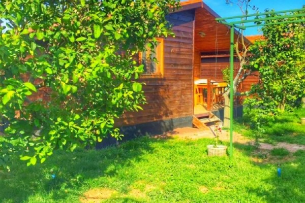 Lemon Garden Lodge