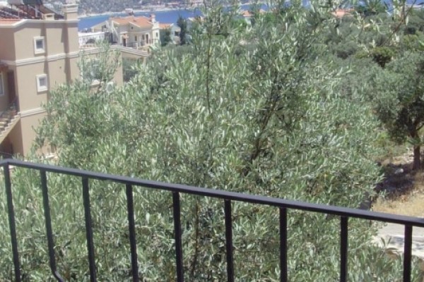 Lizo Hotel