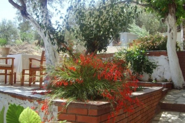 Lizo Hotel