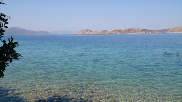 Mavi Akvaryum Pansiyon