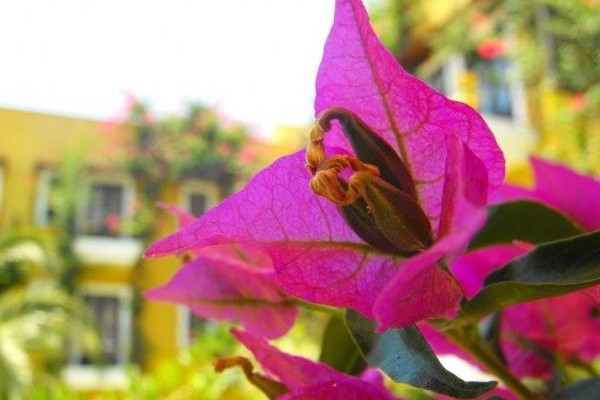 Meldi Hotel