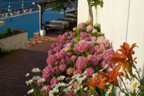 Mesen Otel Akçakoca