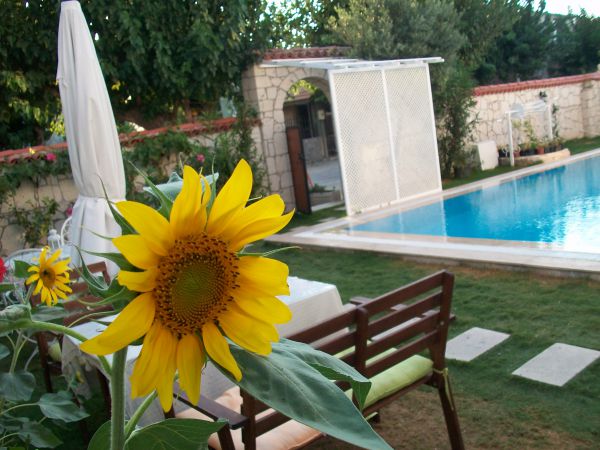 Münevver Abla Konuk Evi